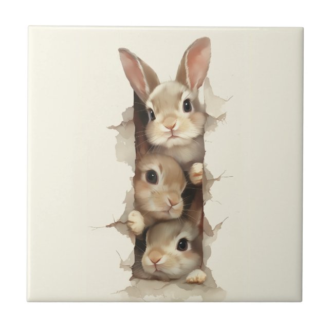 Carreau B3 Three Bunnies 3D Illusion  (Devant)