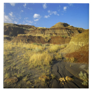 Carreau Badlands du parc provincial Dinosaur en Alberta,