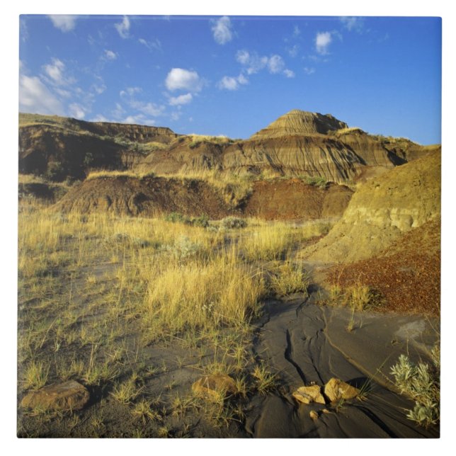 Carreau Badlands du parc provincial Dinosaur en Alberta, (Devant)