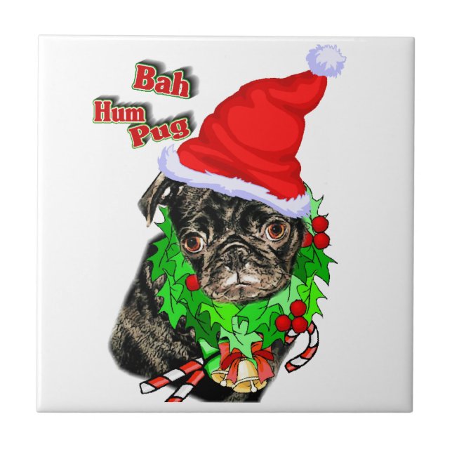 Carreau Bah Hum Carlin Noël (Devant)