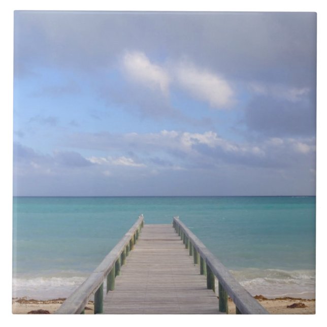Carreau BAHAMAS, île de Grand Bahama, côté est : (Devant)