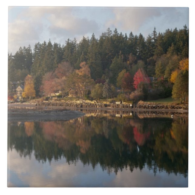 Carreau Baie de Fletcher (Devant)
