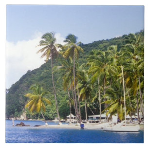 Carreau Baie de Marigot, Sainte-Lucie, Caraïbes