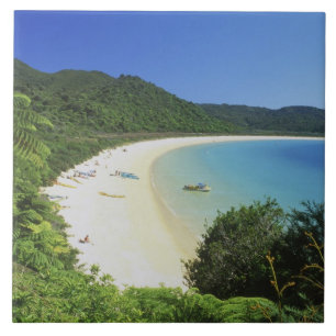 Carreau Baie de Tonga, Parc national Abel Tasman, île du S