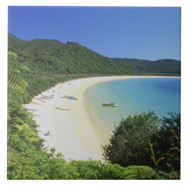 Carreau Baie de Tonga, Parc national Abel Tasman, île du S (Devant)