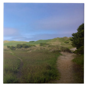 Carreau Baie de Yaquina, Newport, Oregon