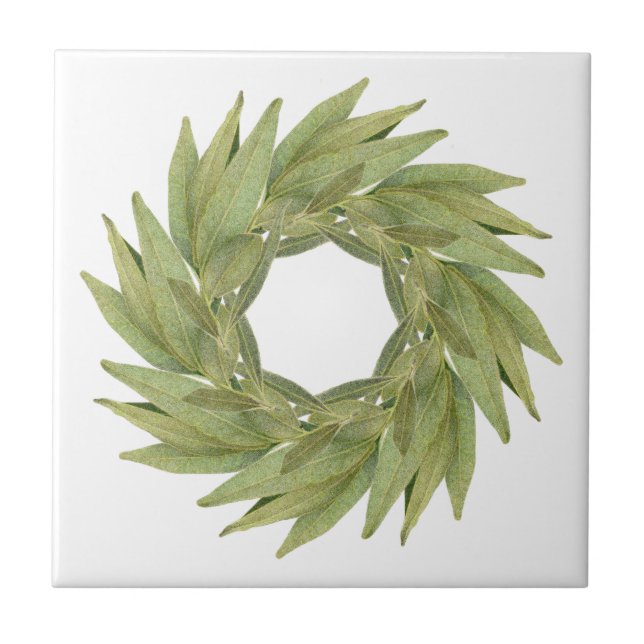 Carreau BAIE FEUILLES WREATH 4,25" Carrelage en céramique (Devant)