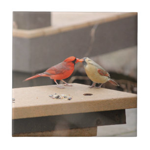 Carreau Baisers des cardinaux