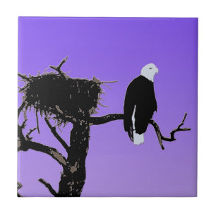 Carreau Bald Eagle at Sunset - Art original de la faune