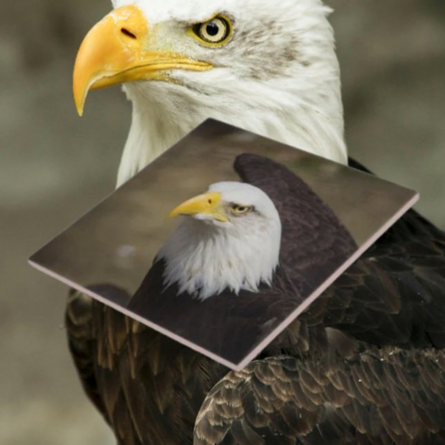 Carreau Bald Eagle Strength – Decorative Ceramic Tile (Créateur téléchargé)