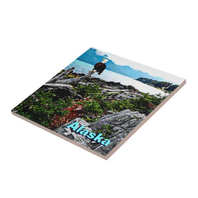 Carreau Bald Eagle Sur La Côte De L'Alaska (Côté)