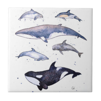 Carreau Baleines et dauphins de l'Ecosse