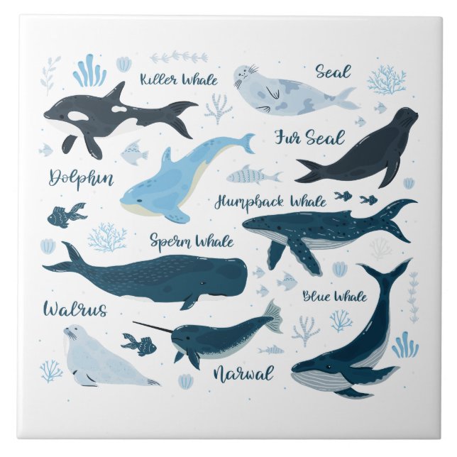 Carreau Baleines et vie marine Design graphique océanique (Devant)