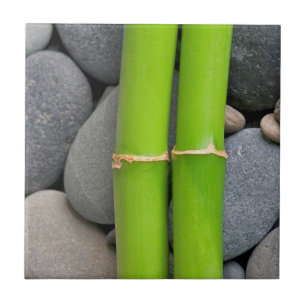 Carreau Bambou et caillou