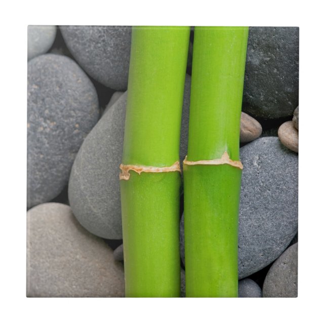 Carreau Bambou et caillou (Devant)