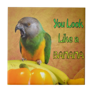 Carreau Banane drôle de perroquet du Sénégal