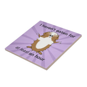 Carreau Bande dessinée Abyssinian Guinea Pig