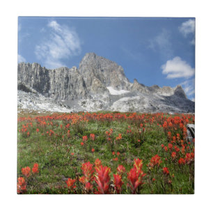 Carreau Banner Peak Fleurs sauvages - Ansel Adams Wilderne