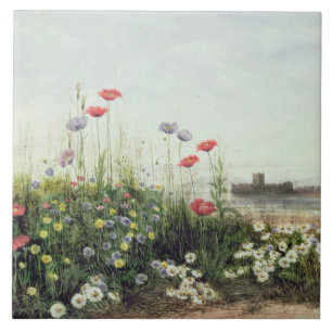 Carreau Banque des fleurs d'été