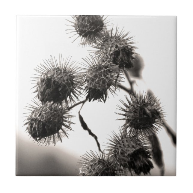 Carreau Barrage sec (Devant)