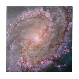 Carreau Barred Spiral Galaxy Messier 83.