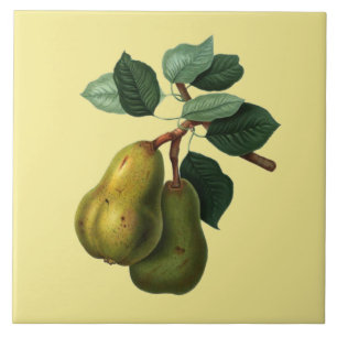Carreau Bartlett Pears Botanical ~ N'importe quel Arrière
