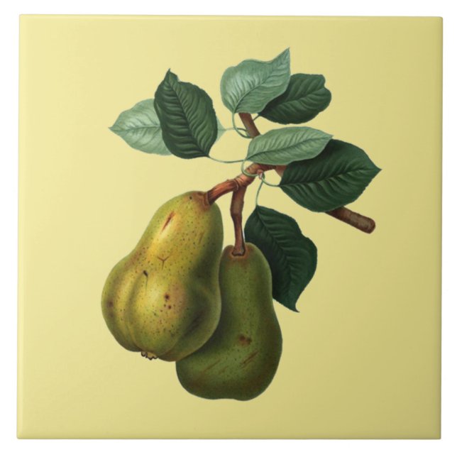 Carreau Bartlett Pears Botanical ~ N'importe quel Arrière  (Devant)