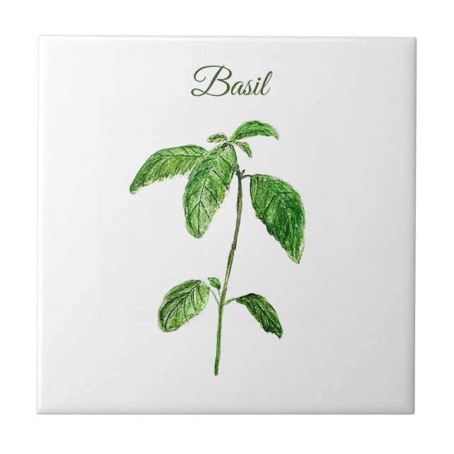 Carreau Basil Herbe Verdure Cuisine culinaire Vert Rustiqu (Devant)