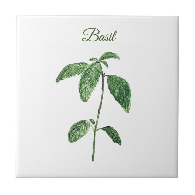 Carreau Basil Herbe Verdure Cuisine culinaire Vert Rustiqu (Devant)