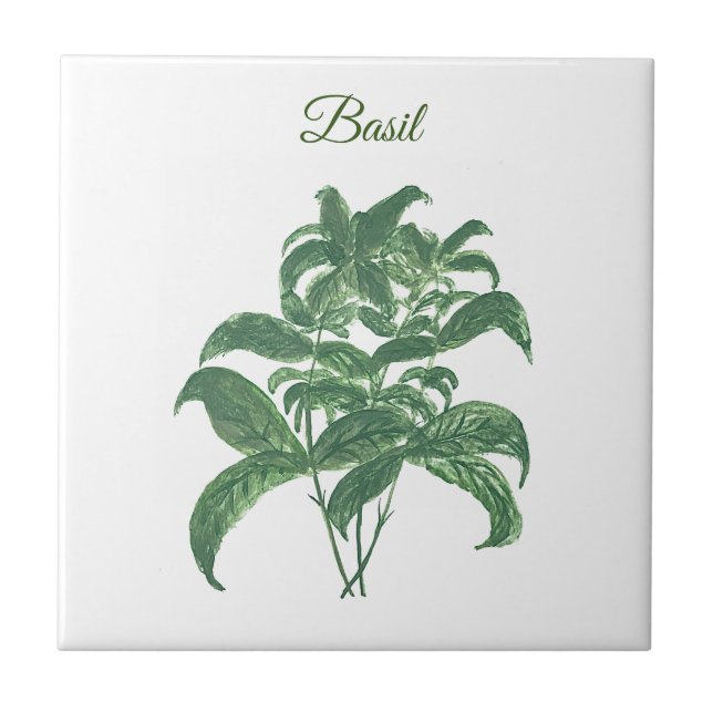 Carreau Basil Herbs Verdure Cuisine verte Plante (Devant)