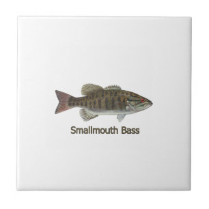 Carreau Basse de Smallmouth