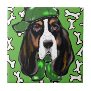 Carreau Basset Hound