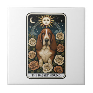 Carreau Basset Hound