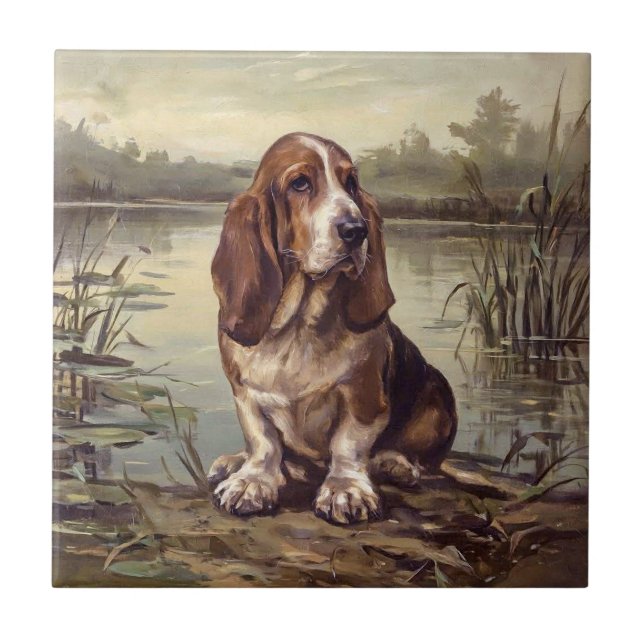 Carreau Basset Hound (Devant)