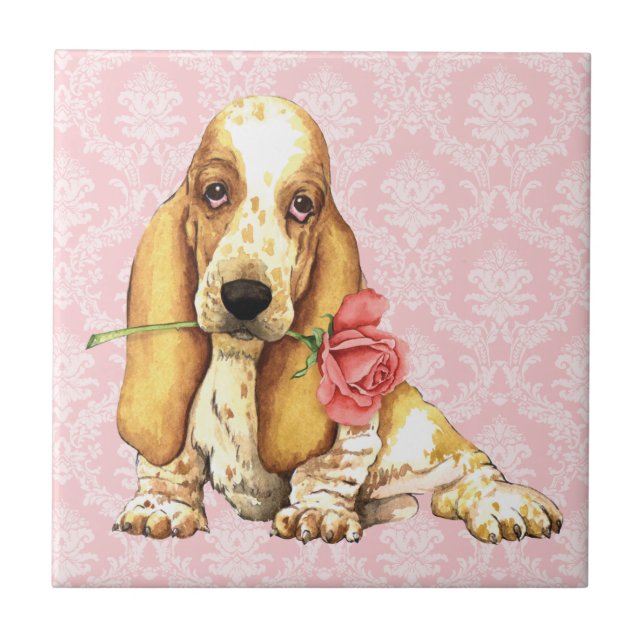 Carreau Basset rose de Valentine (Devant)