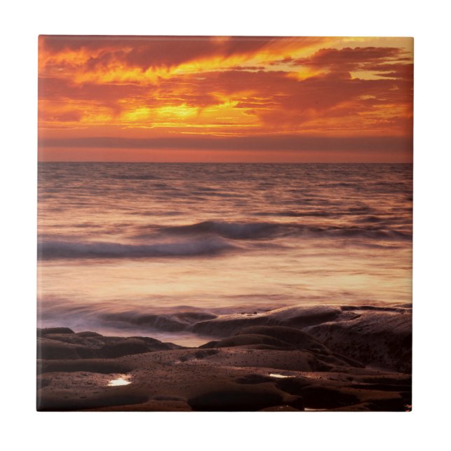 Carreau Bassins de marée de La Jolla (Devant)