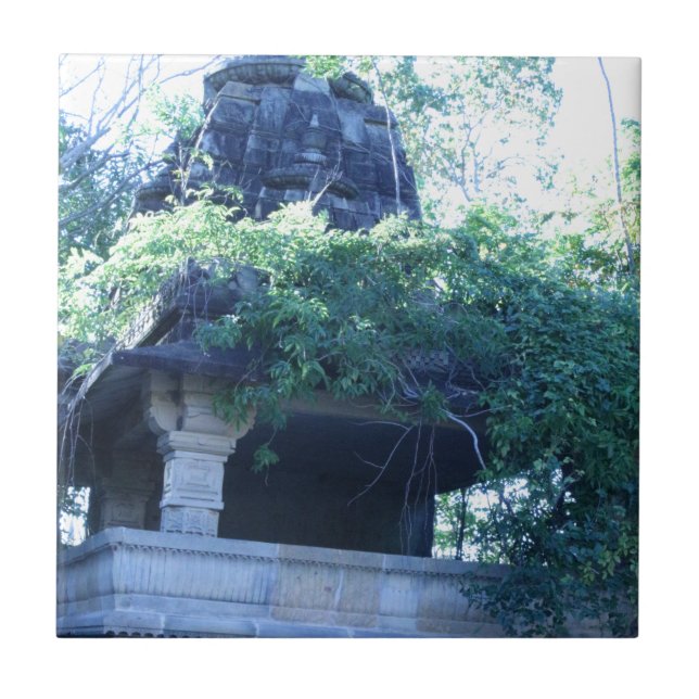 Carreau Bâtiment Jungle (Devant)