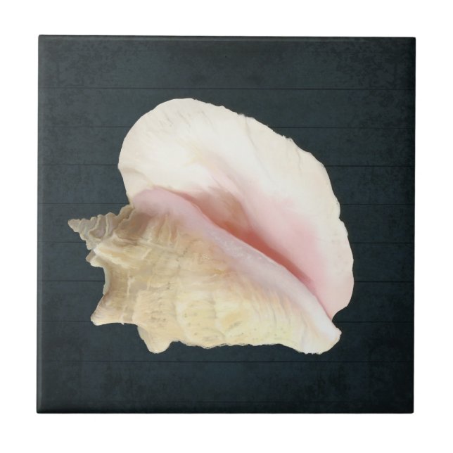 Carreau Beach Conch Coastell Coastal Shell Navy Blue Wood (Devant)