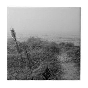 Carreau Beach path