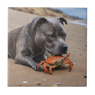 Carreau "Beachside Pals : A Staffy and its Crab Companion"