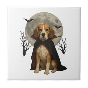 Carreau Beagle