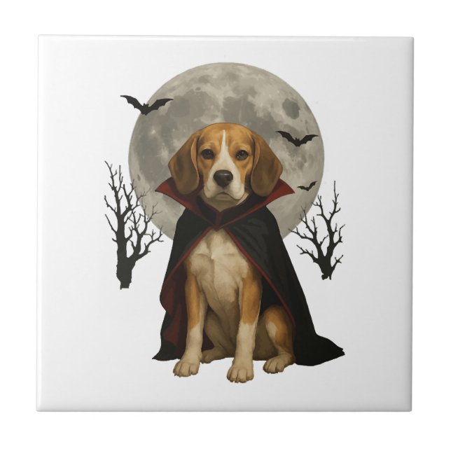 Carreau Beagle     (Devant)