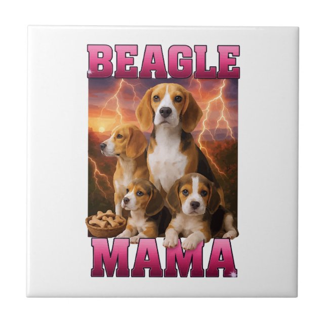 Carreau Beagle  (Devant)