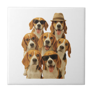 Carreau Beagle