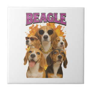 Carreau Beagle         