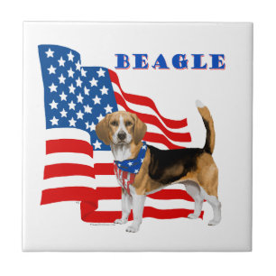 Carreau Beagle avec drapeau américain