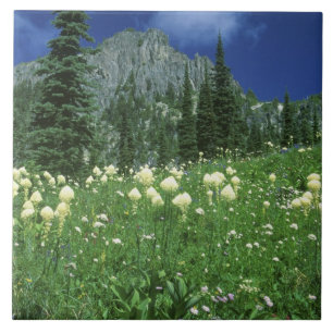 Carreau Beargrass au lac Eunice, Mt. Rainier NP, WA,