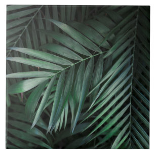 Carreau Beau et élégant carrelage en céramique Feuille tro