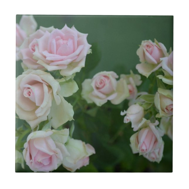 Carreau Beau jardin rose clair roses (Devant)