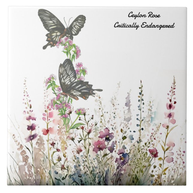 Carreau Beau Papillon Rose Ceylan peint à la main (Devant)